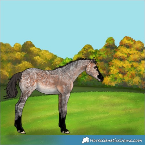 Horse Color:Void Brown Ice 