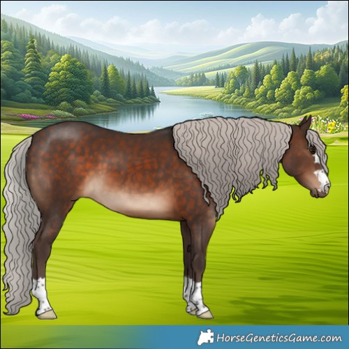 Horse Color:Silver Brown 