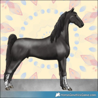 Horse Color:Smoky Black and Smoky Black