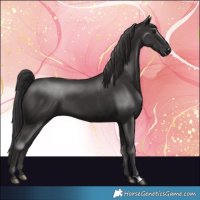 Horse Color:Smoky Black and Smoky Black