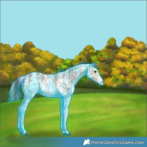 Horse Color:Nacre Thunderstruck Buckskin Ice Sabino 
