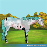 Horse Color:Platinum Watercolor Chocolate Bay Ice Dun Tobiano Rabicano 