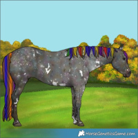 Horse Color:Painted White Spotted Midnight Chocolate Bay Ice Dun