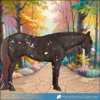 Horse Color:Nacre White Spotted Midnight Chocolate Bay Ice Sabino 