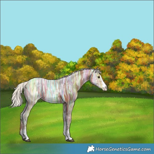 Horse Color:Silver Bay Ice 
