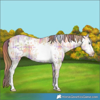 Horse Color:Nacre Plaid  Amber Cream Champagne Ice Dun Frame 