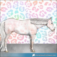 Horse Color:Plaid  Silver Amber Cream Champagne Ice Pearl Sabino 