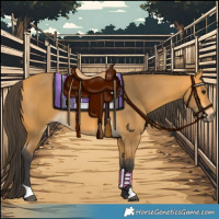 Horse Color:Buckskin 
