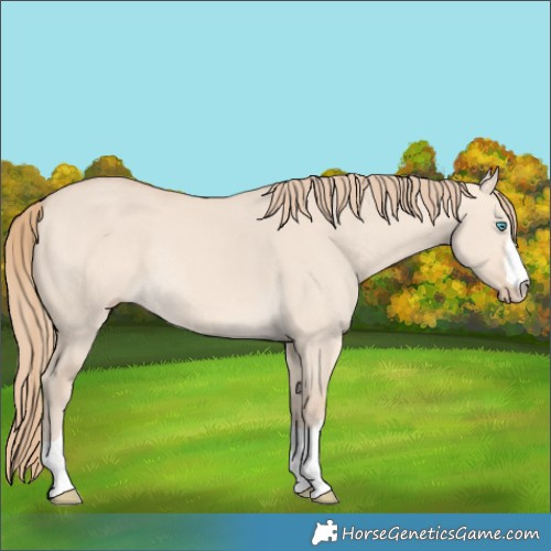 Horse Color:Perlino Dun Rabicano 