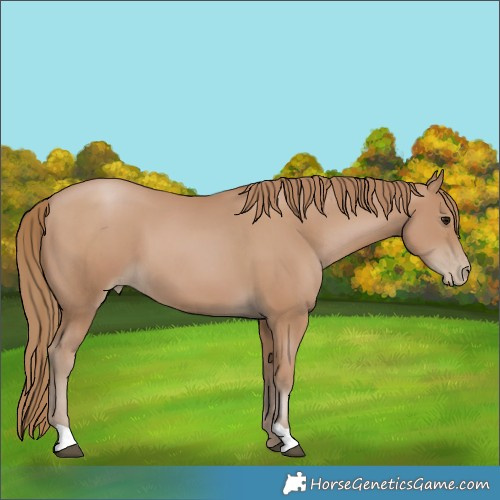 Horse Color:Black Pearl 