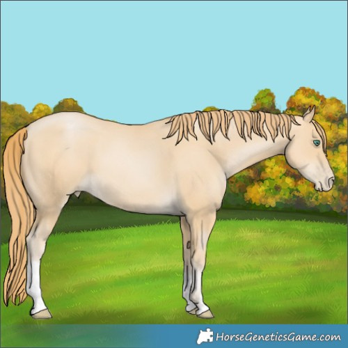 Horse Color:Smoky Black Pearl 