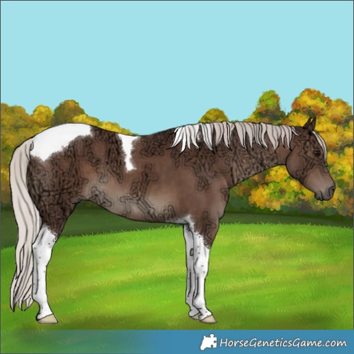 Horse Color:Silver Black Ice Tobiano