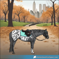 Horse Color:Black Sabino Near Leopard 