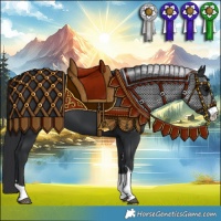 Horse Color:Black 