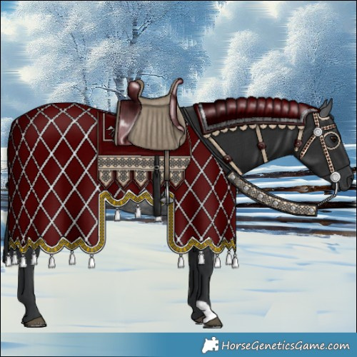 Horse Color:Blue Roan 