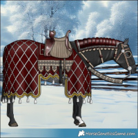 Horse Color:Blue Roan 