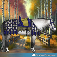 Horse Color:Gray Grullo 