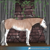 Horse Color:Bay Roan Splash Rabicano 