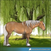 Horse Color:Silver Buckskin Tobiano 