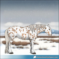 Horse Color:Silver Buckskin Sabino Tobiano Near Leopard 