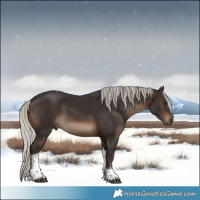 Horse Color:Silver Brown Tobiano 