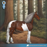 Horse Color:Silver Brown Tobiano Rabicano