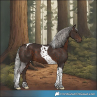 Horse Color:Silver Brown Tobiano 