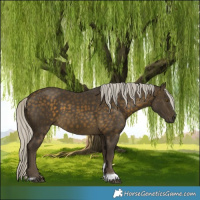Horse Color:Silver Buckskin Tobiano 