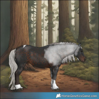 Horse Color:Silver Brown Tobiano 