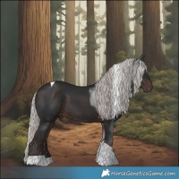 Horse Color:Silver Brown Tobiano 