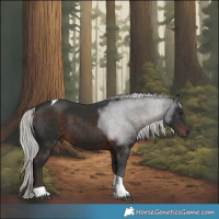 Horse Color:Silver Brown Tobiano 