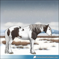 Horse Color:Silver Brown Splash Tobiano