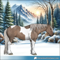 Horse Color:Silver Grullo Tobiano