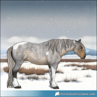 Horse Color:Silver Smoky Blue Roan Tobiano 