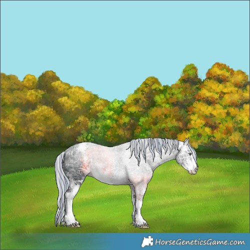 Horse Color:Painted Silver Brown Chinchilla Ice Sabino 