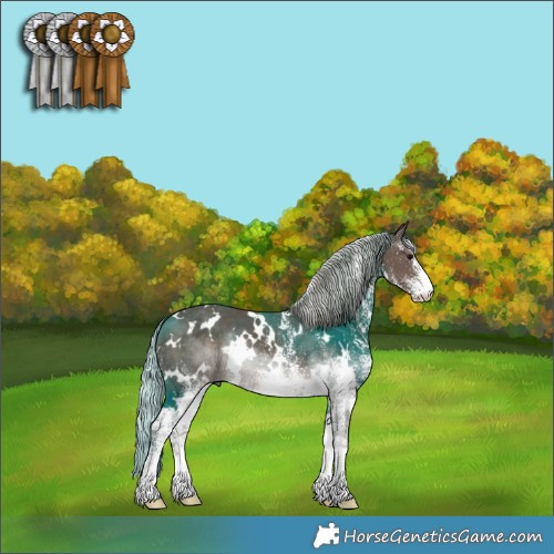 Horse Color:White Spotted Silver Black 