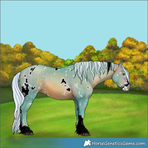 Horse Color:Watercolor White Spotted Silver Brown Pearl Sabino 