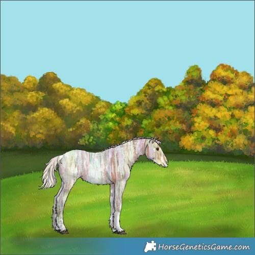 Horse Color:White Spotted Silver Bay Ice Tobiano 