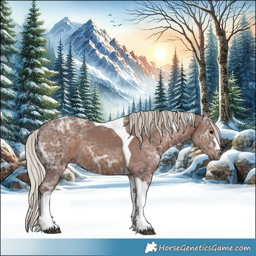 Horse Color:Silver Black Ice Tobiano 