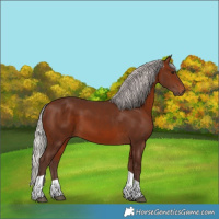 Horse Color:Silver Brown Tobiano 