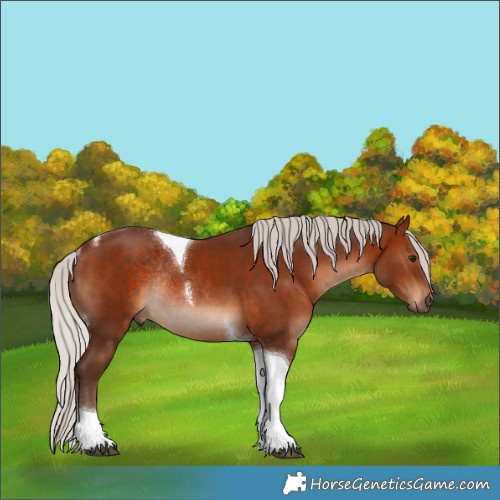 Horse Color:Silver Brown Tobiano Rabicano 