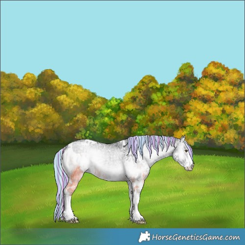 Horse Color:Painted White Spotted Silver Blue Onyx Chinchilla Ice Sabino 