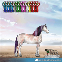 Horse Color:Painted White Spotted Liver Red Onyx Ice Sabino