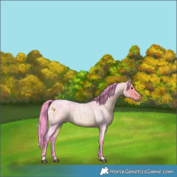 Horse Color:Watercolor Brown Roan 