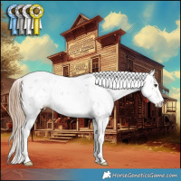 Horse Color:Liver Chestnut Ice Sabino 