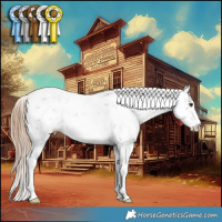 Horse Color:Liver Chestnut Ice Sabino 