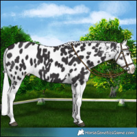 Horse Color:Smoky Black Chinchilla Blanket