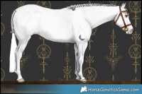 Horse Color:Silver Smoky Grullo Chinchilla Pearl 