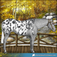Horse Color:Silver Black Chinchilla Blanket