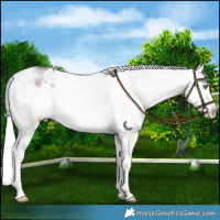 Horse Color:Chocolate Silver Brown Chinchilla Dun Varnish